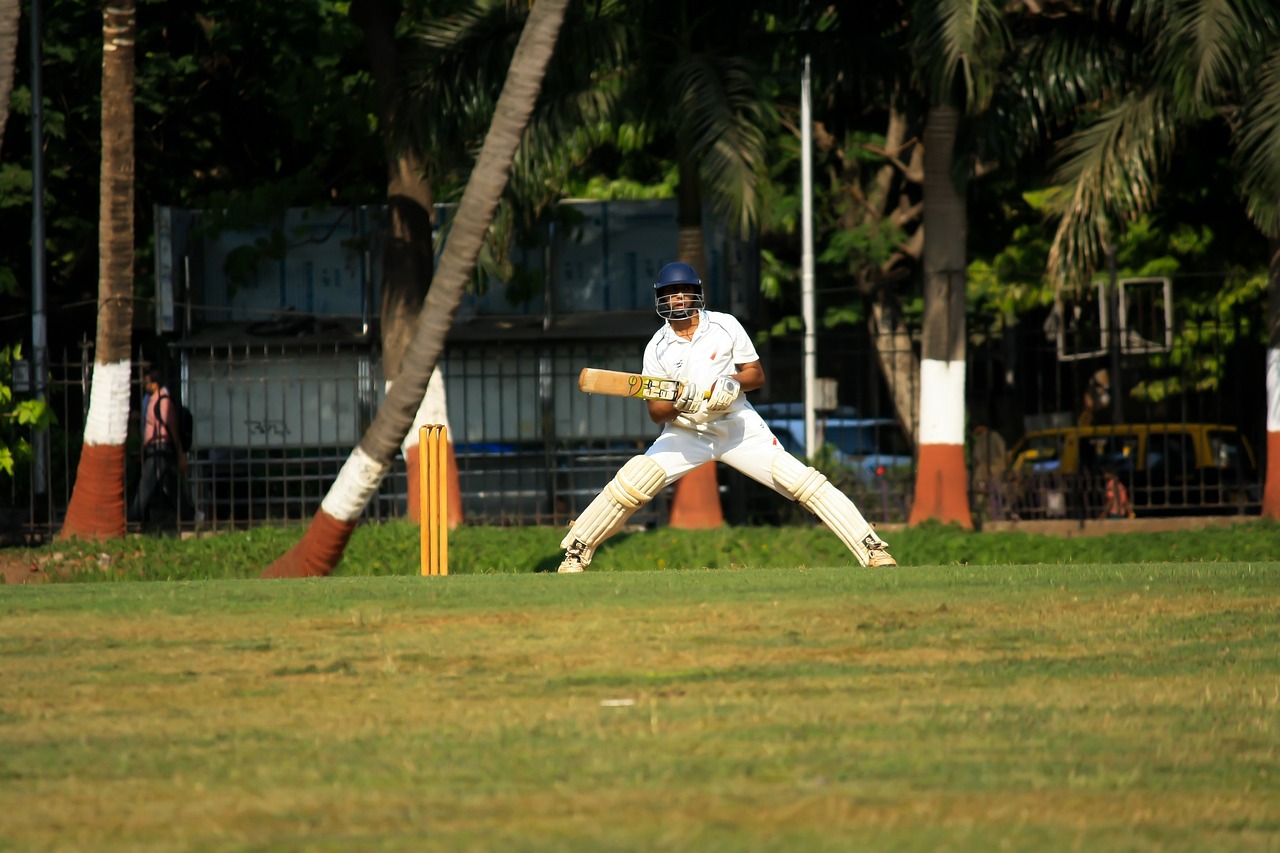 cricket, batsman, player, sports