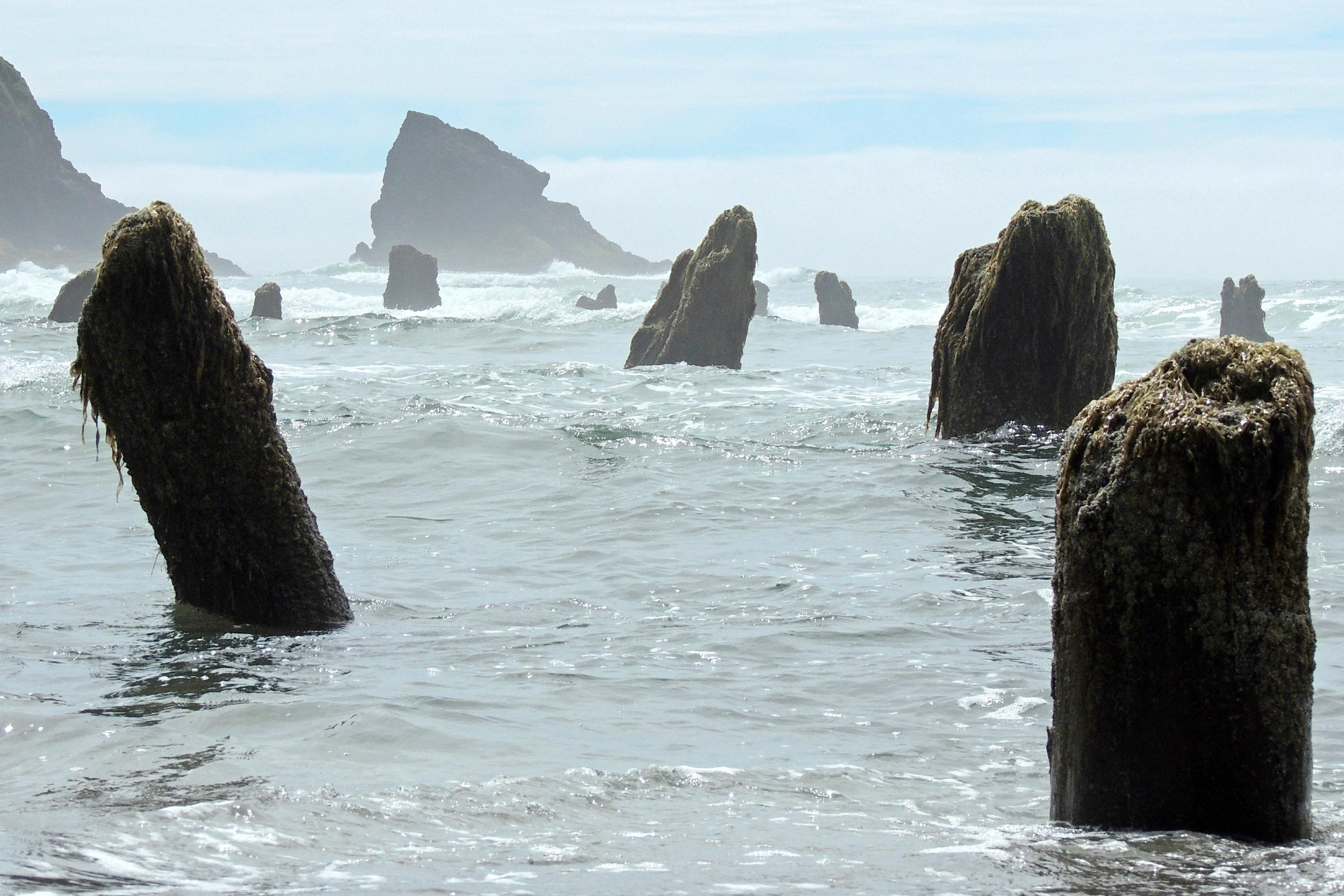 Tsunami Sands, 1700 cascadia earthquake